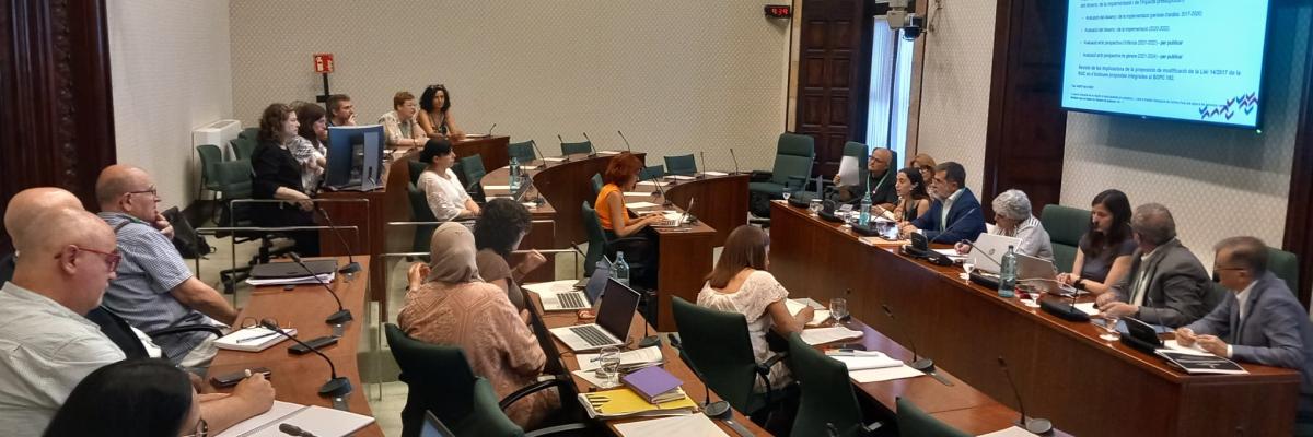 Compareixença de Nerea Frías
